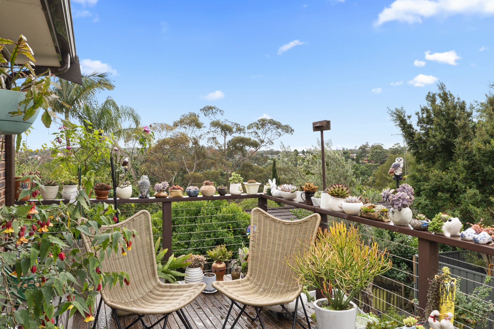 For Sale - 32 Beryl Avenue - New Property in MOUNT COLAH - Real Estate by