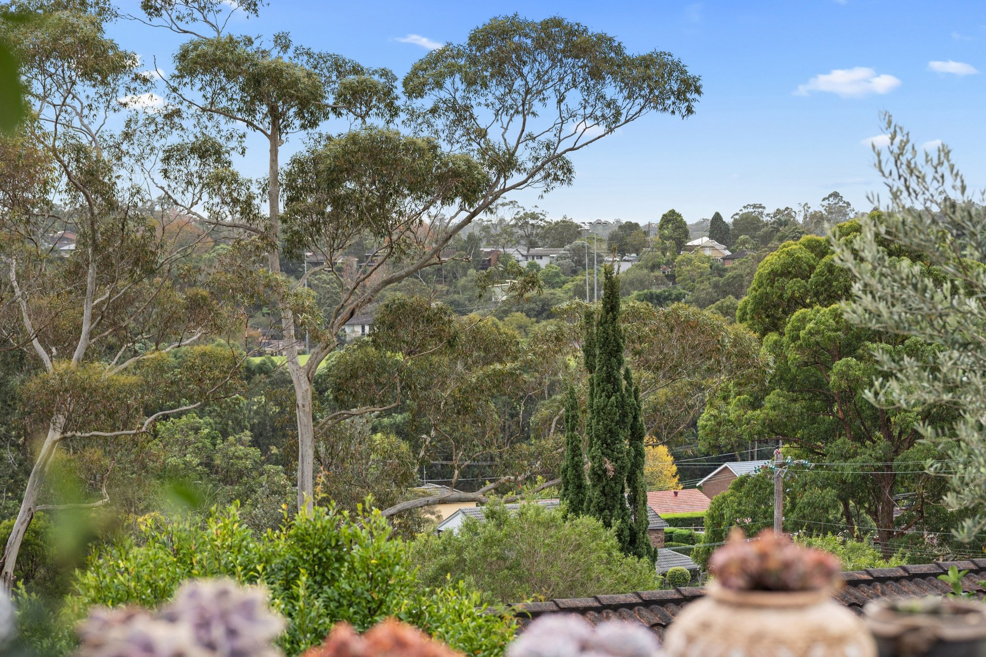 For Sale - 32 Beryl Avenue - New Property in MOUNT COLAH - Real Estate by
